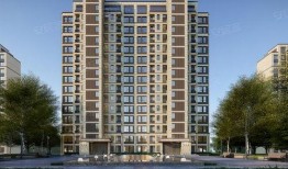 罗村金茂悦最新爆料